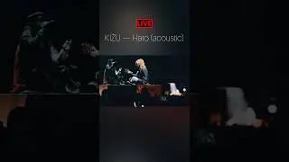 KIZU — Hato (acoustic) 