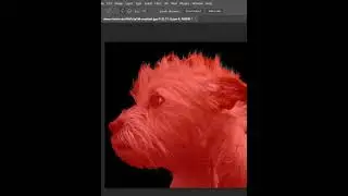 Right way to remove background of COMPLEX SUBJECT #shorts #photoshoptutorial