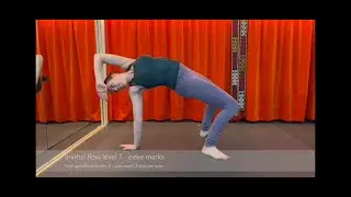 Practise for my submission Animal Flow