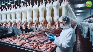 Amazing Modern Rabbit Farming in China 🐇 | Rabbit Meat Production | Rabbit Breeding Documentary