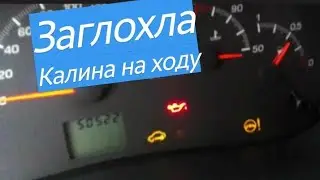 Kalina stalled