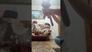 кэт нэп и 3008 роблокс???...