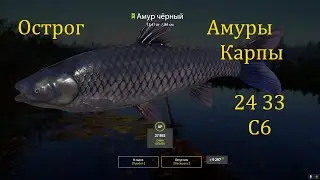 рр4! Острог Амуры Карпы+троф линь с мостика!
