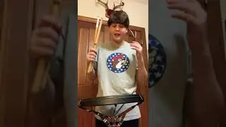 Promark Sticks And Salyers Percussion Sticks Review