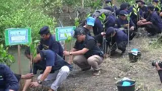 Garda Pemuda Nasdem kab Probolinggo|| Mangrove||