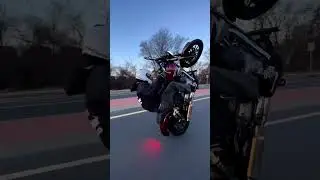 Harley Davidson Roadglide Wheely 2023