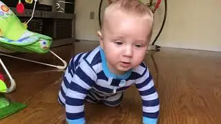 iRobot Rumba и Ник