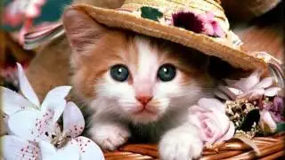 Новая клубная музыка. Реальный хит! Море любви!