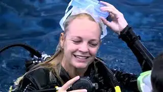 Poseidon dive & snorkel adventure