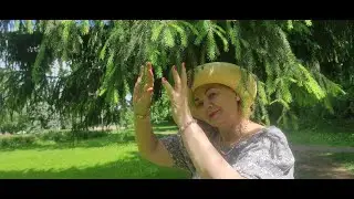 Милое платье / Прекрасное летнее утро / Отправляю Вселенной позитивный посыл  / Украшаю собою Мир