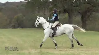 Jane Polk & Gray Goose Texas Rose Horse Trials Fall 2018