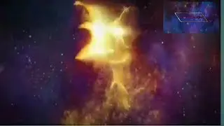 Hướng dẫn làm intro chim lửa bay intro (make fire bird intro ) free intro down load no text