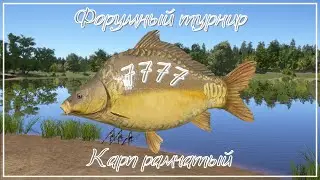 СТРИМ┃Форумный турнир - Карп рамчатый - РР4┃maXS1k
