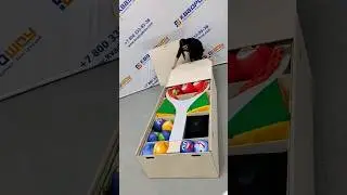 Командный аттракцион Фруктовый замес в транспортировочной виде 