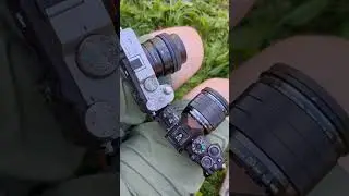 Sony 40mm f/2.5 G vs OM-System 20mm f/1.4?