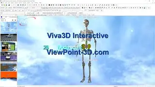 Interactive 3D skeleton in 3 minutes