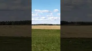 Встретили в поле косуль