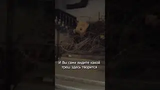 Как сейчас выглядит дворец Саддама Хусейна 