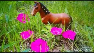 Лошади шляйх , что то в роде клипа