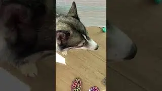 С 1сентября! Берегите себя, будьте здоровы!!!