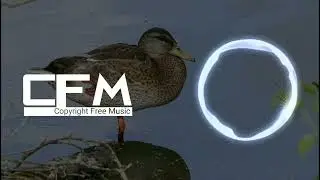 Free Background Music for Content Makers Without Copyright