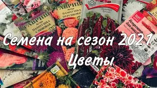 ✨СЕМЕНА НА 2021 ГОД✨| ЦВЕТЫ 🌺| 👩‍🌾ЧТО БУДУ ВЫРАЩИВАТЬ🌱