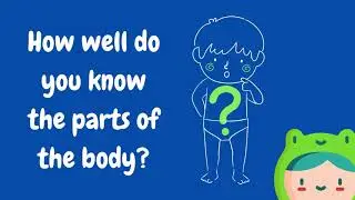 Parts of the Body in English | English Vocabulary lesson for students, ESL