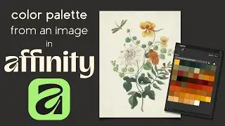 Affinity by Canva  - Three Ways to Create a Color Palette From an Image - Beginner Tutorial