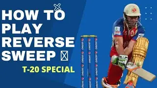 How To Play Reverse Sweep In Cricket | रिवर्स स्वीप खेलने का सही तरिका | Kd Evolution
