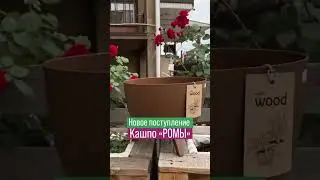 Новое поступление кашпо «РОМА» 