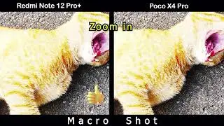 Redmi Note 12 Pro+ VS Realme 9 Pro | Camera Comparison | Camera Test |