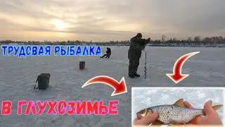 Зимняя трудовая рыбалка в глухозимье! Плотва и Окунь.