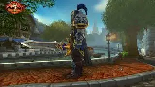 8 years of world of warcraft and all my characters 