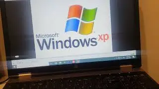 Windows XP Error Song has BSOD (Windows 11/Tiny10)