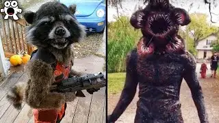 Les Costumes d'Halloween Les Plus Dingues