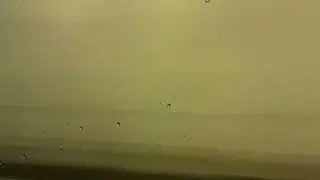 Autofahren in der Schweiz 🇨🇭