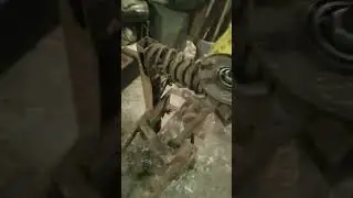 Начал собирать муравья