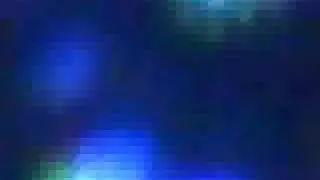 flimmerfish