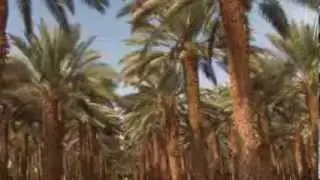 Israel  Small but Outstanding