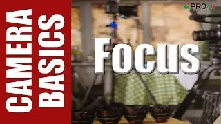 Focus - Camera Basics