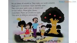 Class 1 EVS Plants world