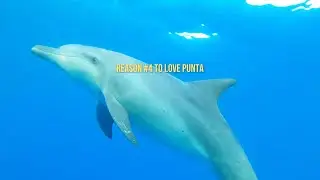 25 Reasons to Love Punta Mita: #4 The Wildlife