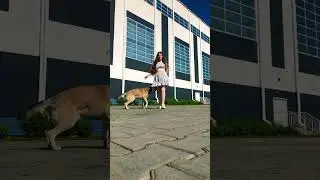 Когда парень не хочет сниматься😂