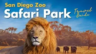 San Diego Zoo Safari Park - Best Things to Do in 2024