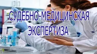 Судебно-медицинская экспертиза