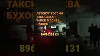 Россия Узбекистан автобус #такси #узбекистан #бухоро #москва #trans +79683220008