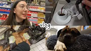 Italian vlog: momenti di vita quotidiana a Roma (Sottotitoli)