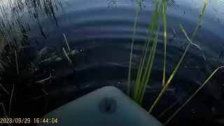 Вечерка