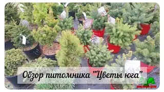 Обзор из питомника 