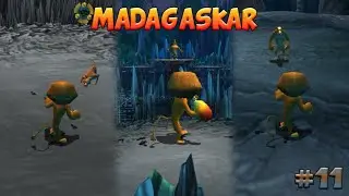 Legowisko,Arena i Król Foss - Madagaskar#11